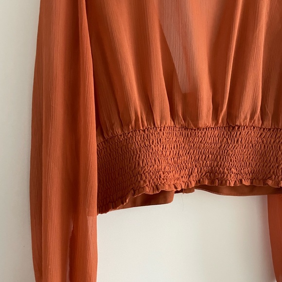 Sheer Long Sleeve Crop Top - Picture 5 of 6